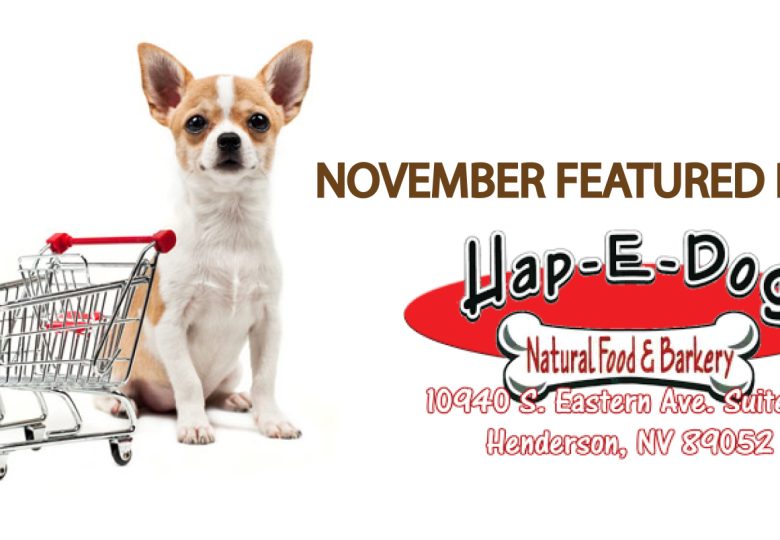 Featured Retailer Hap E Dog
