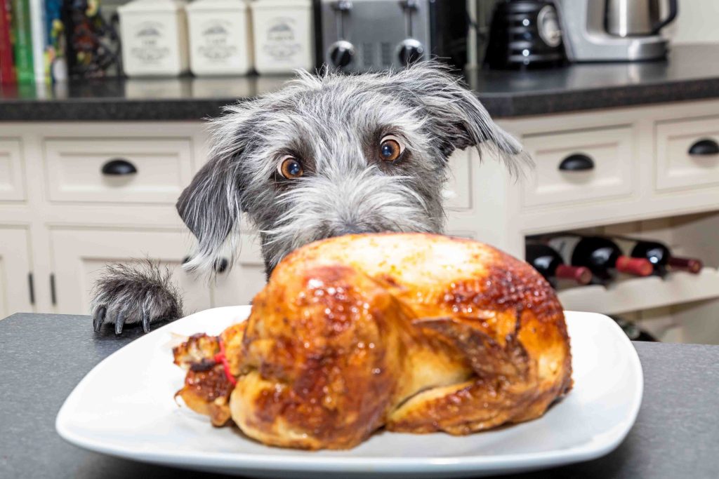 5 Thanksgiving Dangers to Look Out For