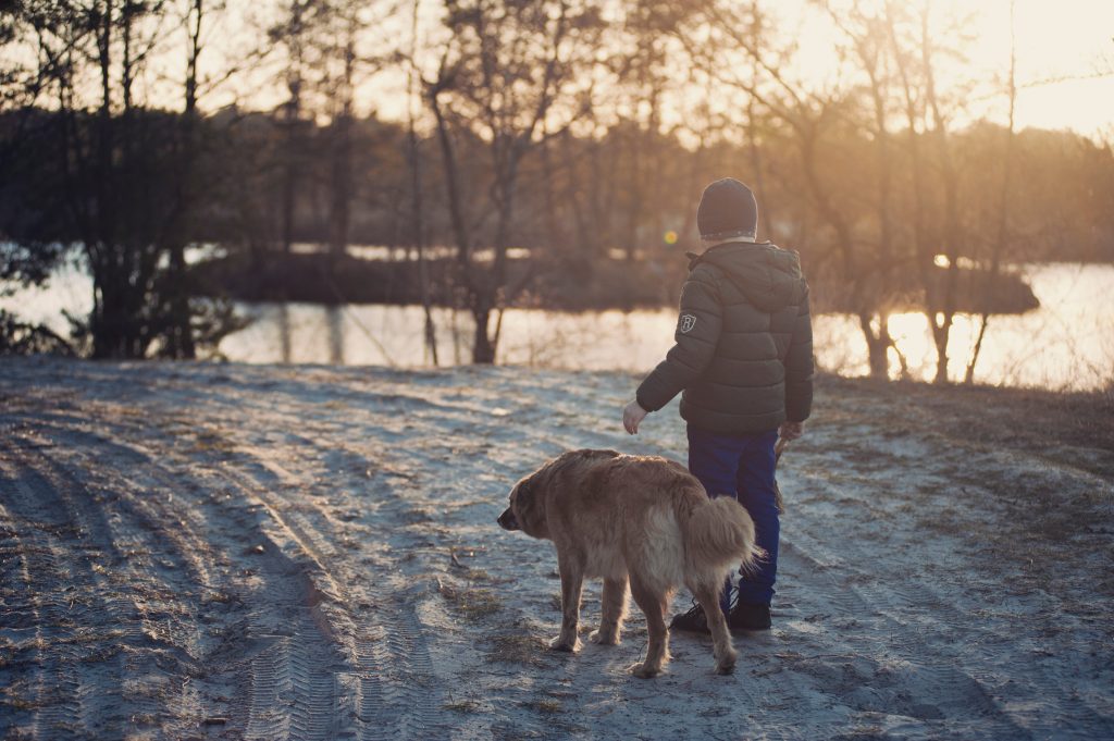 How to Keep Your Dog’s Joints Healthy in the Winter