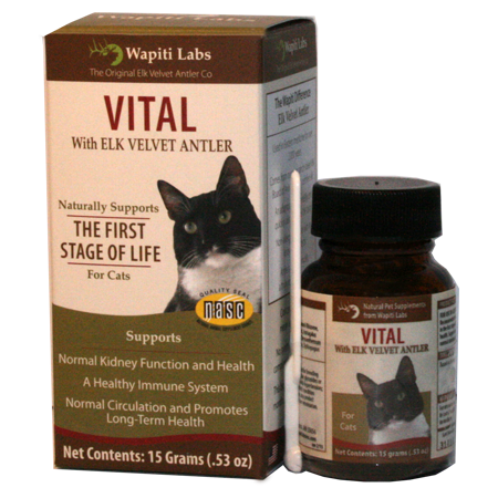 Vital Cat Supplement that helps cats.