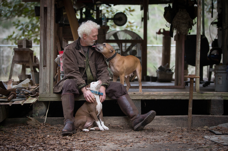 Older Man With Pet Dogs By Wooden Work Hut.